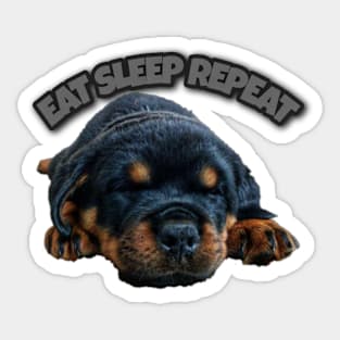 Rottweiler eat sleep repeat puppy Sticker